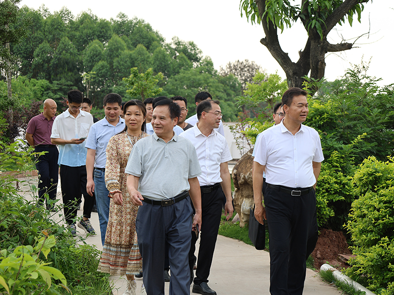  桂平市市长黄德佳等领导到我校指导工作丨 乐鱼在线-乐鱼在线（中国）
